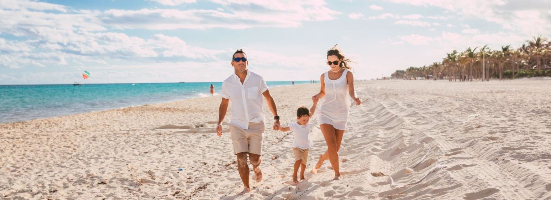 Your Guide to Shelling on Pensacola Beach Feature Image