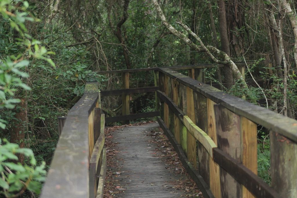trail in pensacola beach